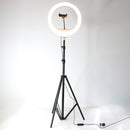 Đèn LIVESTREAM BD-330 13"