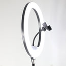 Đèn LIVESTREAM BD-330 13"