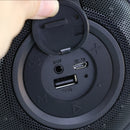 Loa BLUETOOTH xách tay WK D22 bh01t