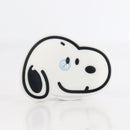 DÁN LƯNG HÌNH ICON