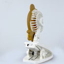 QUẠT CẦM TAY + KẸP BÀN HÌNH Q51