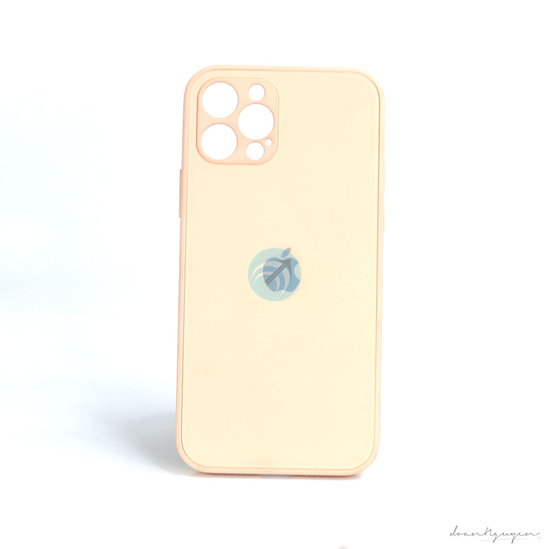 ỐP LƯNG IPHONE 12 PRO (REALSKY KÍNH NHÁM VIỀN VUÔNG)