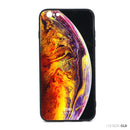 ỐP LƯNG ĐIỆN THOẠI IPHONE 6+/6S+ (50K)