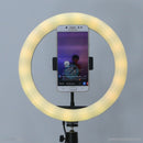 Đèn LIVESTREAM 26 cm 10" led RGB LJJ-26