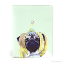 BAO DA HÌNH IPAD 2/3/4 (HÌNH)