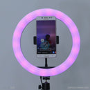 Đèn LIVESTREAM 26 cm 10" led RGB LJJ-26