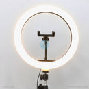 Đèn LIVESTREAM 12" 30CM HX-300