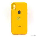 ỐP LƯNG ĐIỆN THOẠI IPHONE X/XS (GƯƠNG MÀU)