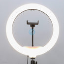 Đèn LIVESTREAM 33 cm 13" LJJ-33