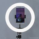 Đèn LIVESTREAM 26 cm 10" led RGB LJJ-26