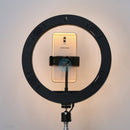 Đèn LIVESTREAM 26 cm 10" led RGB LJJ-26