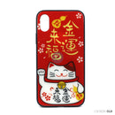 ỐP LƯNG ĐIỆN THOẠI IPHONE X/XS (40K)