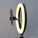 Đèn LIVESTREAM 26 cm 10" led RGB LJJ-26