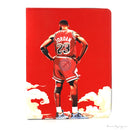 BAO DA HÌNH IPAD 2/3/4 (HÌNH)