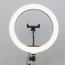 Đèn LIVESTREAM 12" 30CM HX-300