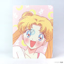 Bao da IPAD AIR 1/2/5/6/7/8/9 hình hộp