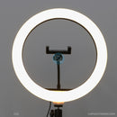 Đèn LIVESTREAM 12" 30CM HX-300