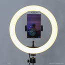 Đèn LIVESTREAM 26 cm 10" led RGB LJJ-26