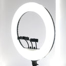 Đèn LIVESTREAM 54CM RL-21"