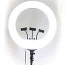 Đèn LIVESTREAM 54CM RL-21"