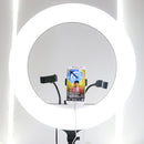 Đèn LIVESTREAM 54CM RL-21"