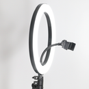 Đèn LIVESTREAM 10" 26CM XD-260