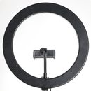 Đèn LIVESTREAM 10" 26CM XD-260