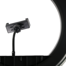 ĐÈN LIVESTREAM 36CM GÔ