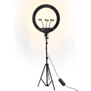 Đèn LIVESTREAM 45CM GÔ