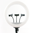 Đèn LIVESTREAM 45CM GÔ